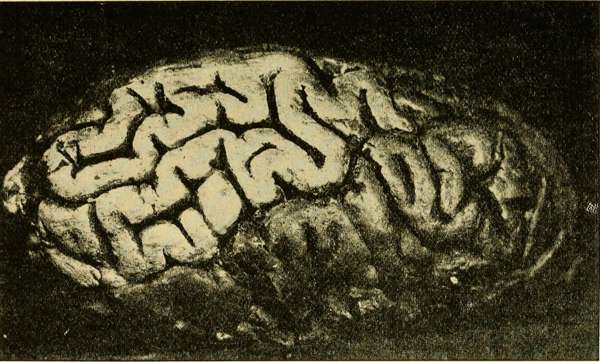 Peter Bevelin: Ізденіс бастауы: Питер Бевелин неге Мангерге жүгінді?