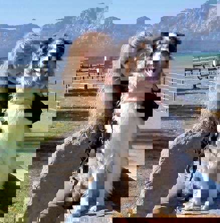 Cal Orey: Кэл Ори әлемі: «Емдік қасиеттер» сериясының контексті