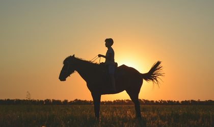 Қанатты кердің құпиясы