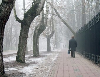 Шарасыз