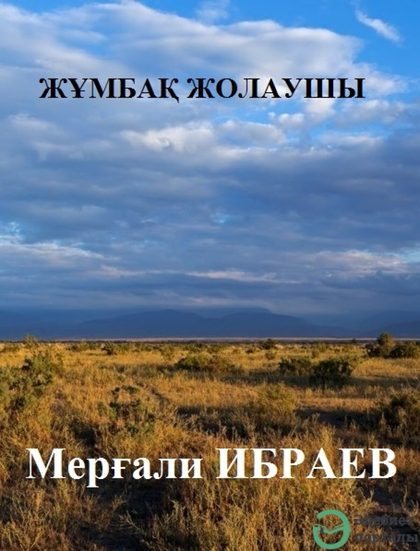 Жұмбақ жолаушы