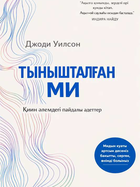 Тынышталған МИ