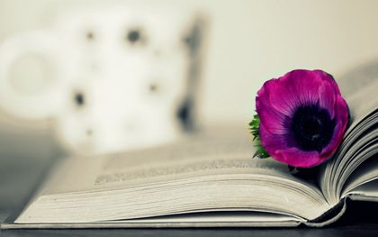 Жақсы кітап - ақылдың кені, кісіліктің кілті