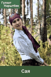 Сая (әңгімелер)