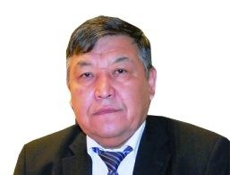 Ел мен елес