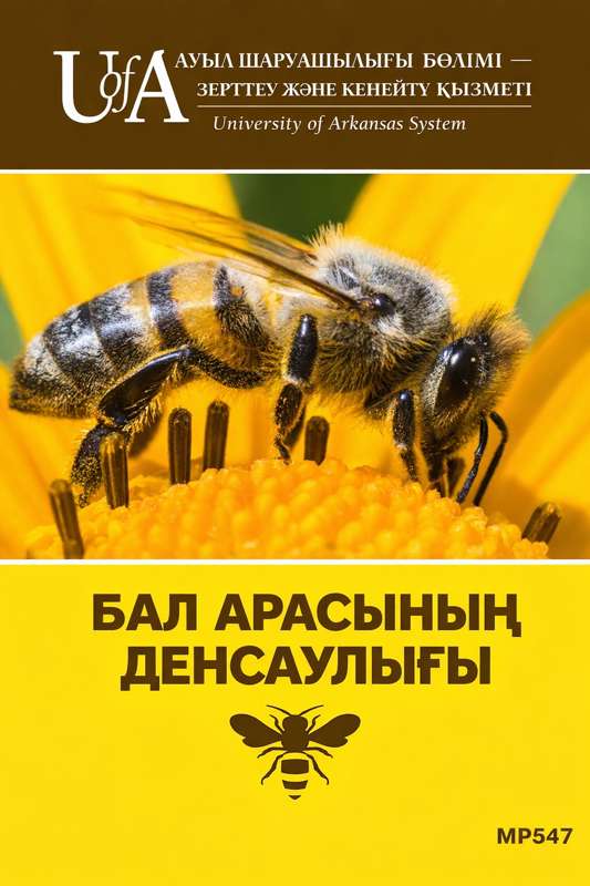 Jon Zawislak Apiculture Instructor University: Ұяның иммундық жүйесі: Ұжымдық интеллектің биологиясы