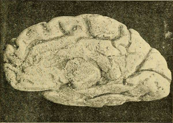 Mihaly Csikszentmihalyi: Ағын концепциясы: Бақыт — бұл нәтиже емес, процесс