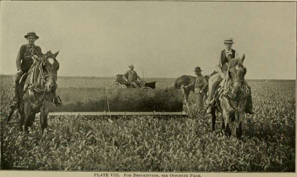 John Gray: Смартфонға телмірген кешкі ас