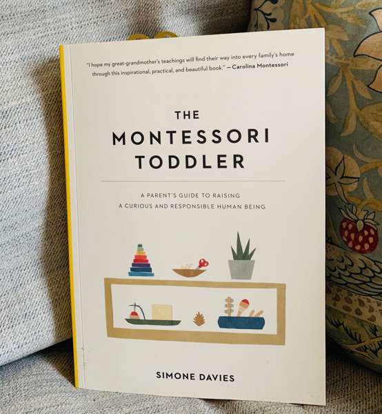 Simone Davies: Амстердамдағы бақылау: Тыныш қозғалыстың құпиясы