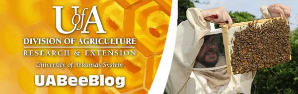 Jon Zawislak Apiculture Instructor University: Хантсвиллдегі салқын таң: Ғылымның салмағы