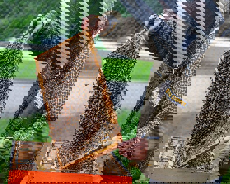 Ұяның тынысы: Хантсвиллдегі үнсіз революция